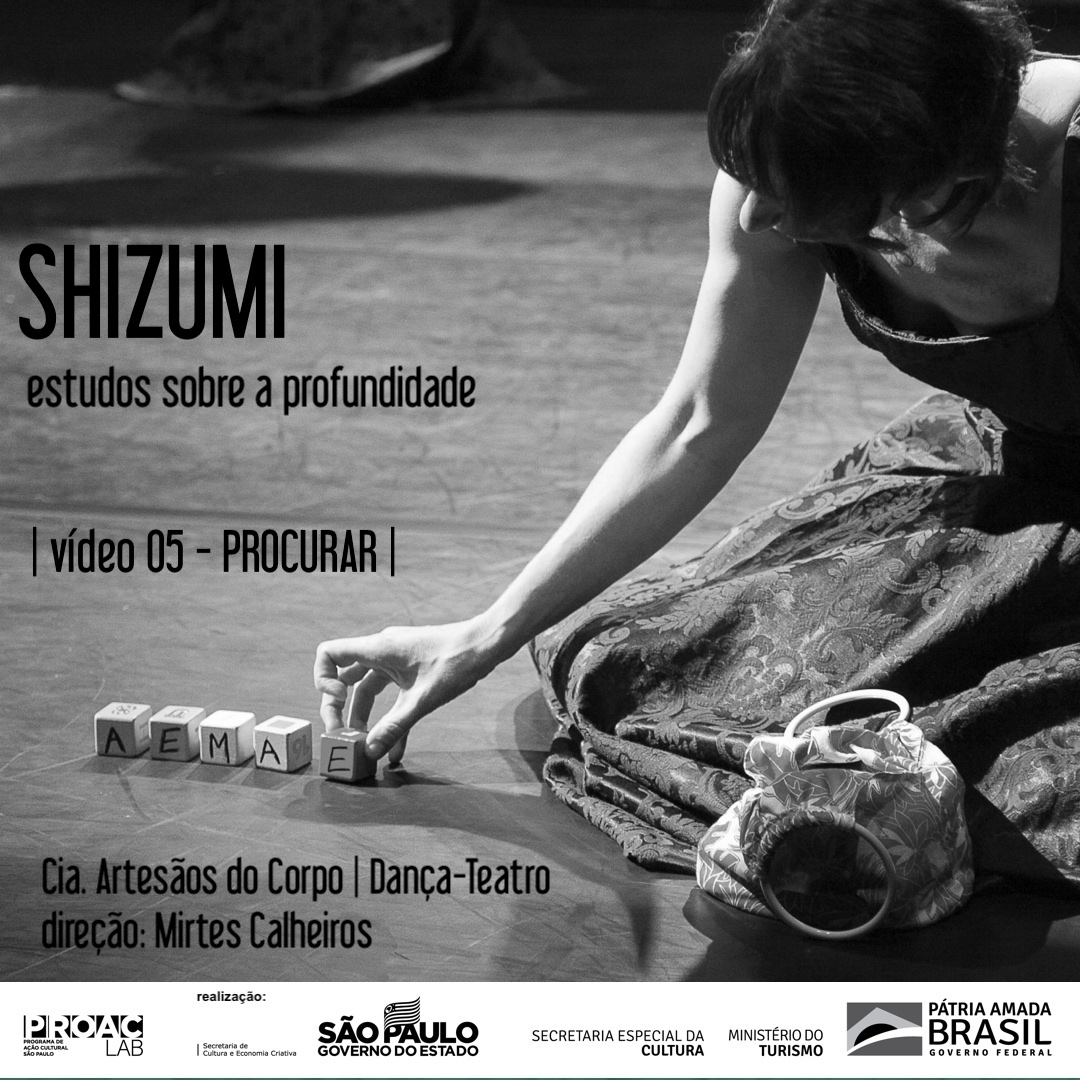 SHIZUMI 5